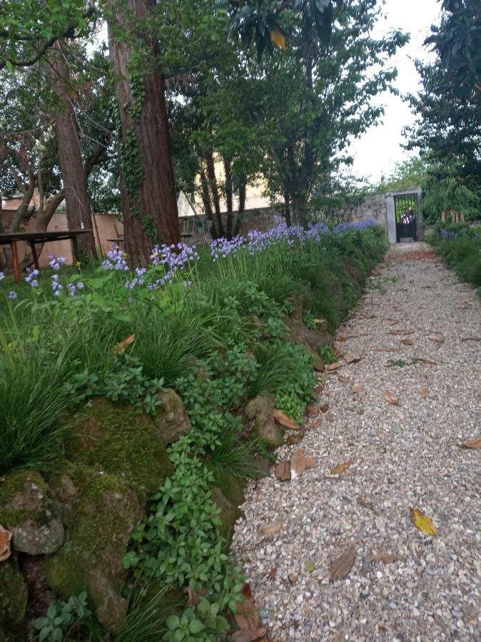 B&B Villa Gualterio Bolsena Bagian luar foto